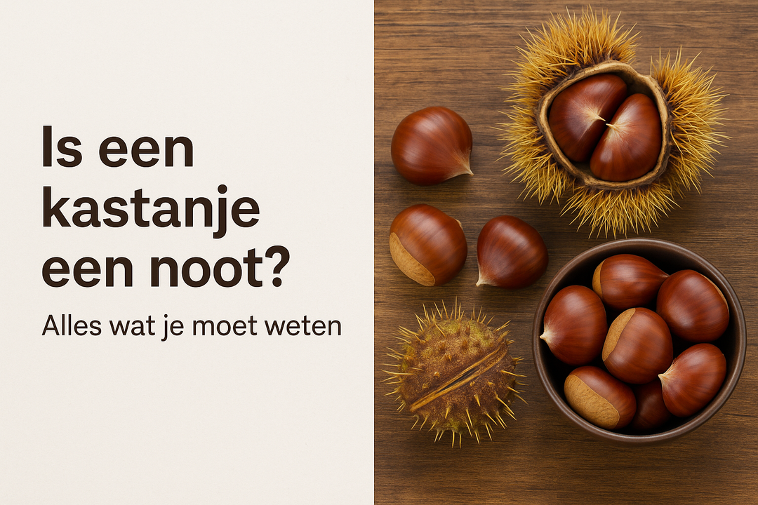 Is een kastanje een noot?