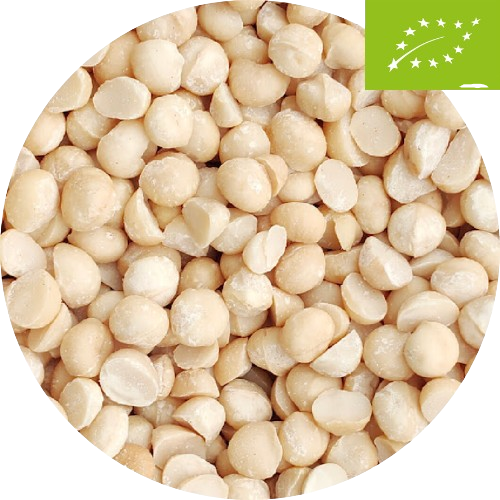 Noix de macadamia crues