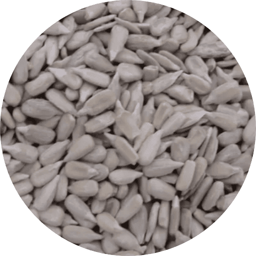 Gepelde zonnebloempitten